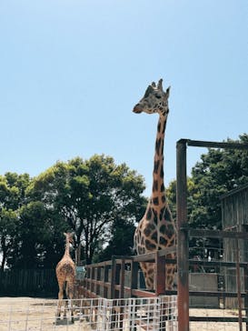 東武動物公園に投稿された画像（2022/5/5）