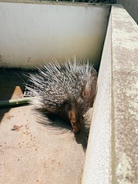 東武動物公園に投稿された画像（2022/5/5）