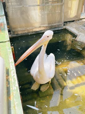 東武動物公園に投稿された画像（2022/5/5）