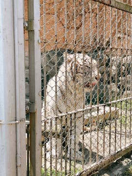 東武動物公園に投稿された画像（2022/5/5）