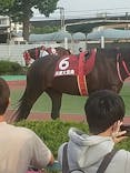 園田競馬場に投稿された画像（2022/5/5）
