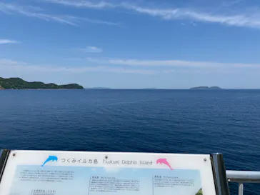うみたま体験パーク 「つくみイルカ島」に投稿された画像（2022/5/5）