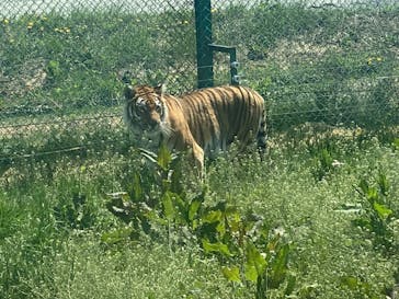 岩手サファリパークに投稿された画像（2022/5/5）