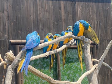 岩手サファリパークに投稿された画像（2022/5/5）