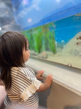 しながわ水族館に投稿された画像（2022/5/5）