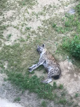 天王寺動物園に投稿された画像（2022/5/5）