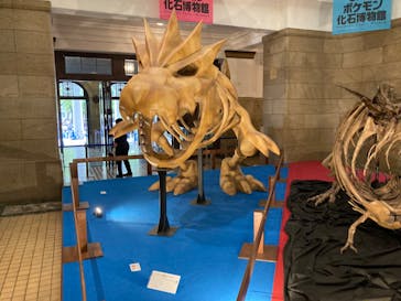 国立科学博物館　特別企画展「ポケモン化石博物館」に投稿された画像（2022/5/5）