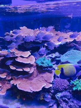 名古屋港水族館に投稿された画像（2022/5/5）