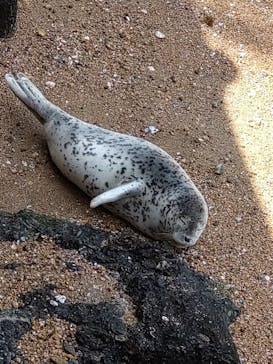 伊豆・三津シーパラダイスに投稿された画像（2022/5/5）