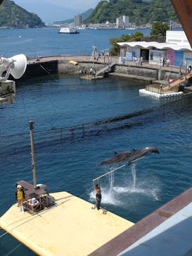 伊豆・三津シーパラダイスに投稿された画像（2022/5/5）