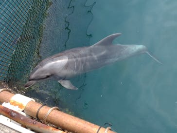 伊豆・三津シーパラダイスに投稿された画像（2022/5/5）