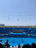 仙台うみの杜水族館に投稿された画像（2022/5/5）