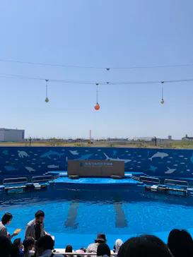 仙台うみの杜水族館に投稿された画像（2022/5/5）