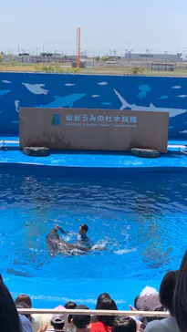 仙台うみの杜水族館に投稿された画像（2022/5/5）