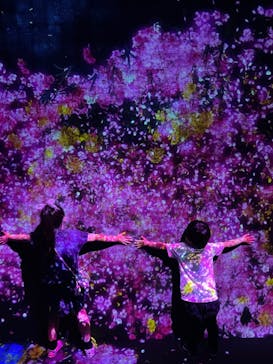 森ビル デジタルアート ミュージアム：エプソン チームラボボーダレスに投稿された画像（2022/5/5）