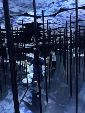 森ビル デジタルアート ミュージアム：エプソン チームラボボーダレスに投稿された画像（2022/5/5）