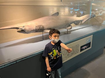 しながわ水族館に投稿された画像（2022/5/5）