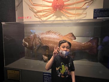 しながわ水族館に投稿された画像（2022/5/5）