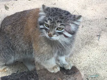 神戸どうぶつ王国に投稿された画像（2022/5/5）