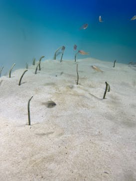 アクアワールド茨城県大洗水族館に投稿された画像（2022/5/5）