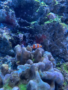 アクアワールド茨城県大洗水族館に投稿された画像（2022/5/5）