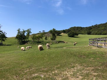 淡路ファームパーク イングランドの丘に投稿された画像（2022/5/5）