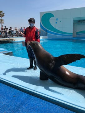 南知多ビーチランド＆南知多おもちゃ王国に投稿された画像（2022/5/5）