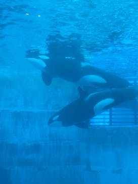 名古屋港水族館に投稿された画像（2022/5/5）