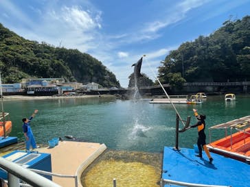 下田海中水族館に投稿された画像（2022/5/5）