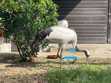 天王寺動物園に投稿された画像（2022/5/5）