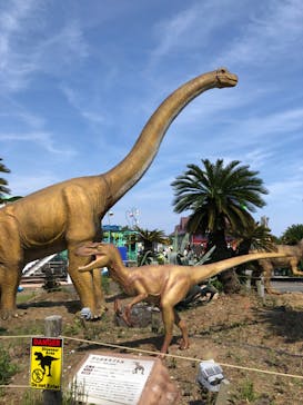 伊豆ぐらんぱる公園に投稿された画像（2022/5/5）