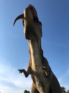 伊豆ぐらんぱる公園に投稿された画像（2022/5/5）