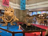 国立科学博物館　特別企画展「ポケモン化石博物館」に投稿された画像（2022/5/5）
