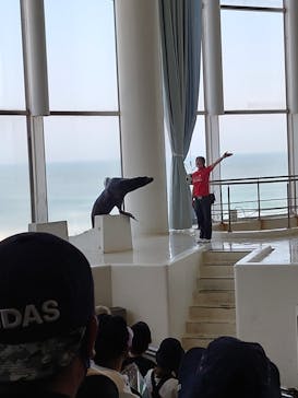 アクアワールド茨城県大洗水族館に投稿された画像（2022/5/5）