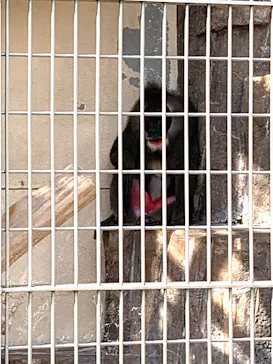 天王寺動物園に投稿された画像（2022/5/5）
