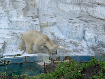 天王寺動物園に投稿された画像（2022/5/5）