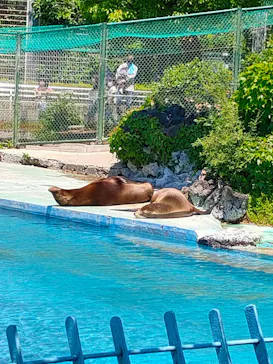 天王寺動物園に投稿された画像（2022/5/5）