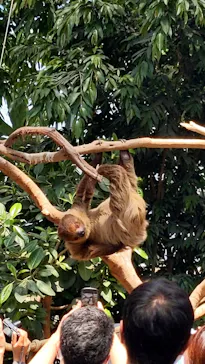 神戸どうぶつ王国に投稿された画像（2022/5/5）