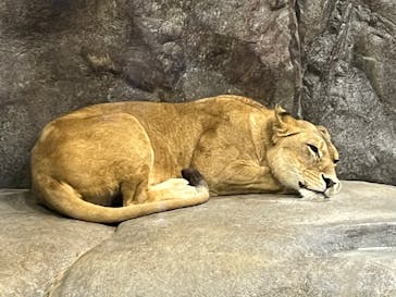 よこはま動物園ズーラシアに投稿された画像（2022/5/5）