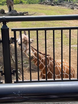 よこはま動物園ズーラシアに投稿された画像（2022/5/5）