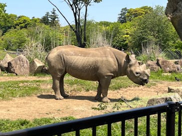 よこはま動物園ズーラシアに投稿された画像（2022/5/5）