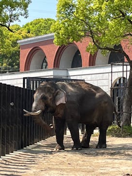 よこはま動物園ズーラシアに投稿された画像（2022/5/5）