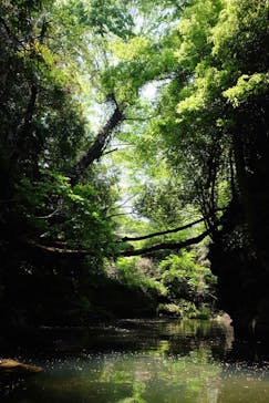 カヌーリゾートたまよどに投稿された画像（2022/5/5）