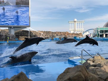 名古屋港水族館に投稿された画像（2022/5/5）