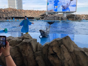 名古屋港水族館に投稿された画像（2022/5/5）