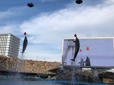 名古屋港水族館に投稿された画像（2022/5/5）