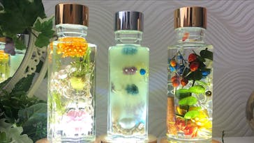 ずこうしつ〜sugamo〜に投稿された画像（2022/5/5）