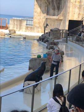 城崎マリンワールドに投稿された画像（2022/5/5）