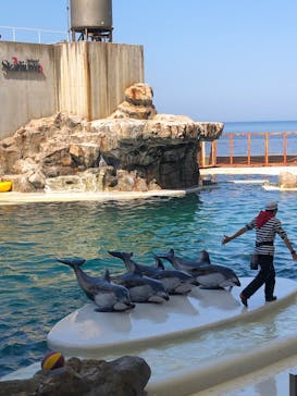 城崎マリンワールドに投稿された画像（2022/5/5）