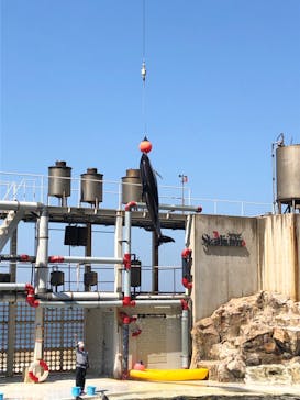 城崎マリンワールドに投稿された画像（2022/5/5）